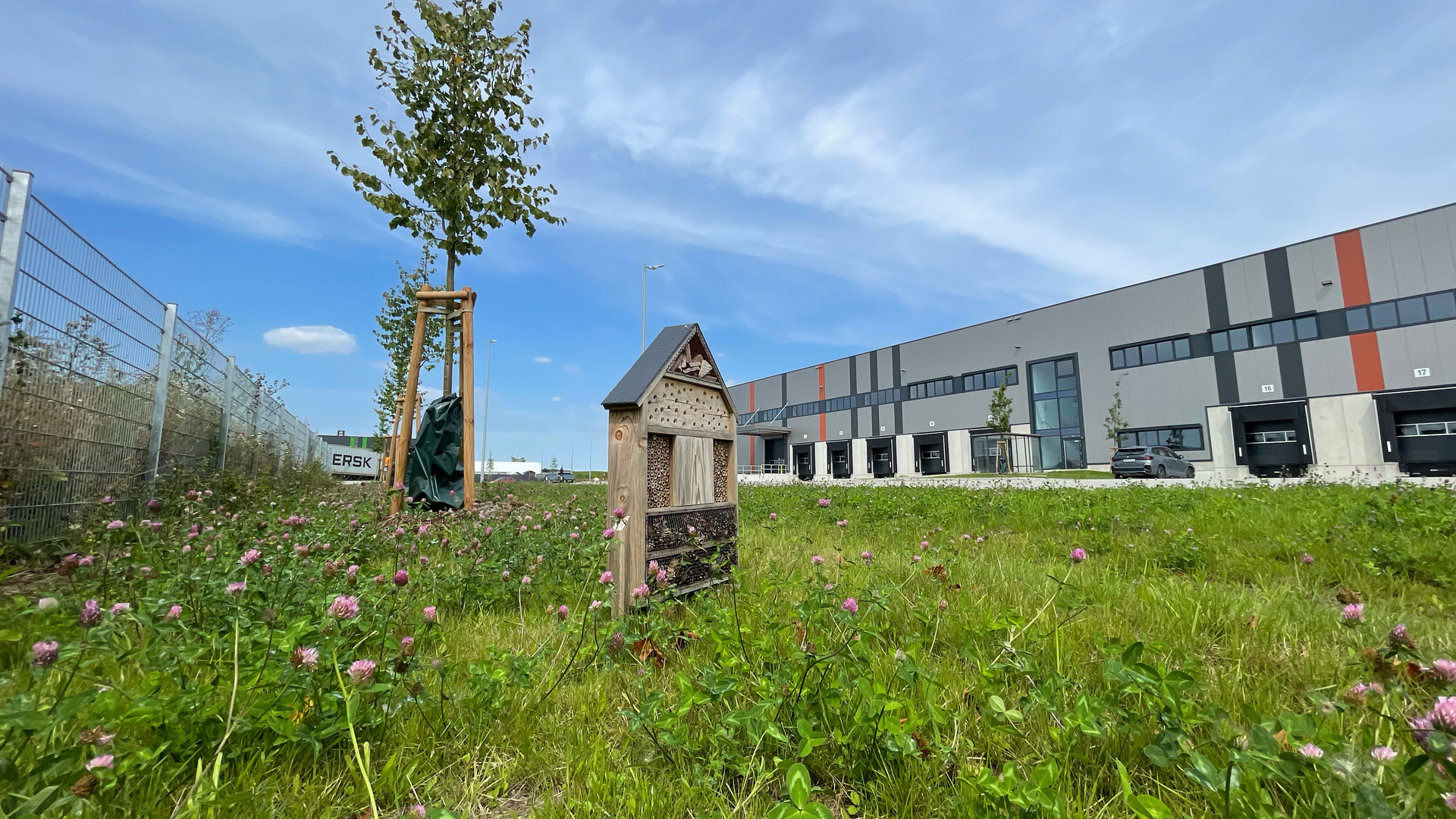 Wildblumenwiesen und Insektenhäuser.jpg